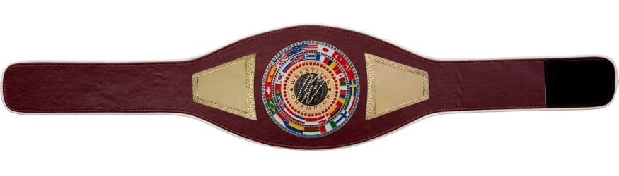 WRESTLING CHAMPIONSHIP BELT PROFLAG2/FLAG/G/WRESTGEM - VARIETY OF LEATHER COLOURS AVAILABLE WRESTLING CHAMPIONSHIP BELT PROFLAG2/FLAG/G/WRESTGEM - VARIETY OF LEATHER COLOURS AVAILABLE